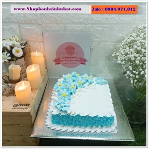Bánh Sinh Nhật Sữa Tươi - AA205